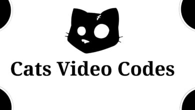 Cats Video Code