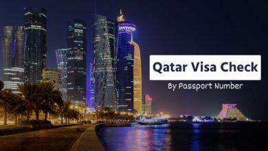 Qatar Visa Status Check Online By Passport Number